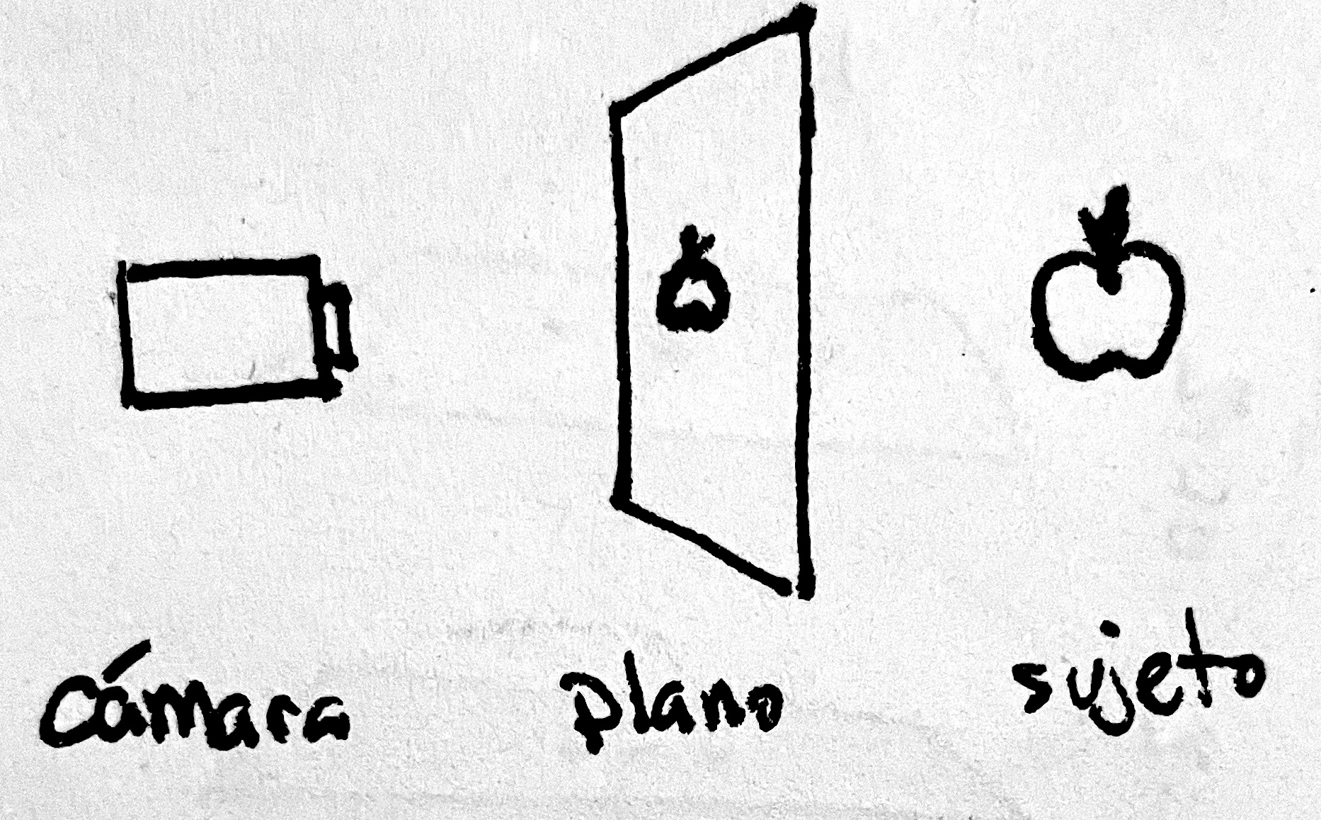 Camara, plano y sujeto